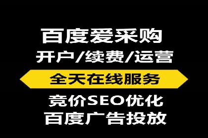 SEM代运营服务公司案例分析：数据驱动营销策略